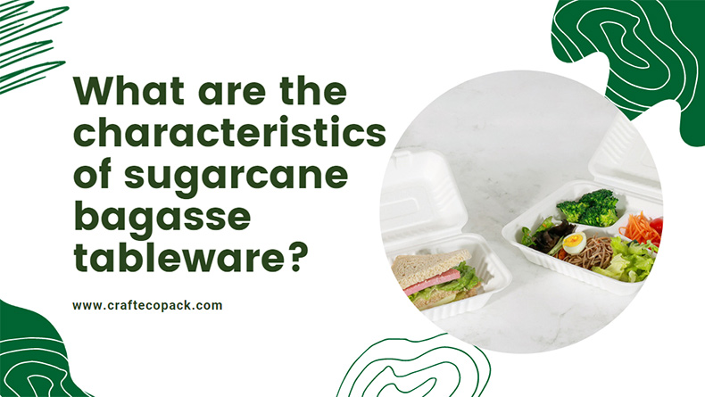 Was sind die Eigenschaften von Zuckerrohr-Bagasse-Geschirr?